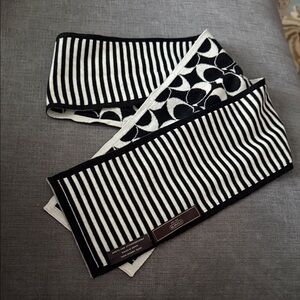 Coach Monochrome Striped Knit & C Logo Wool Scarf
